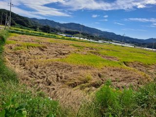 이미자님의 공짜로 가질 수 있다면 나의 선택은? · 참여글 작성글 사진