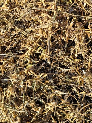 해은농장님의 기타작물 · 영농일지 작성글 사진