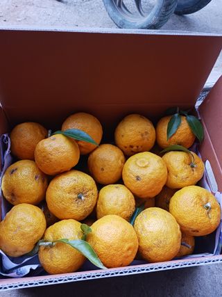 들국화님의 자유주제 · 자유게시판 작성글 사진