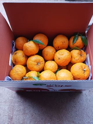 들국화님의 자유주제 · 자유게시판 작성글 사진