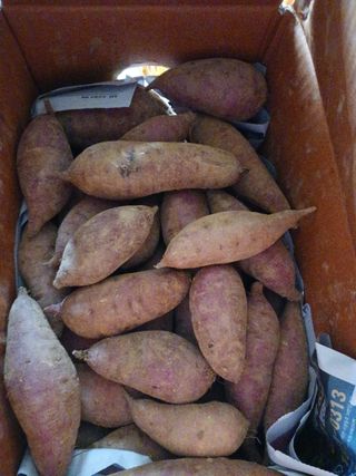 들국화님의 자유주제 · 자유게시판 작성글 사진