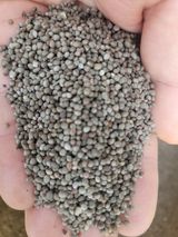 팜모닝 · 게시글 이미지