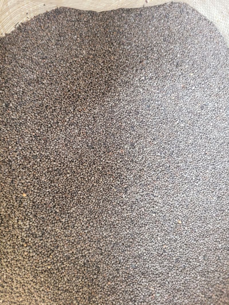 이은호님의 장터 판매 상품 [들깨 판매] 첨부 사진