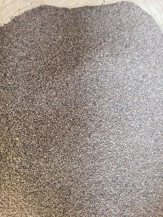 이은호님의 작성글 사진