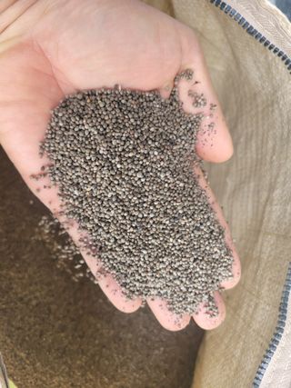 이은호님의 작성글 사진