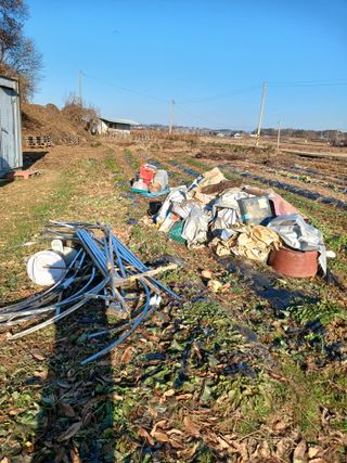 화성단삼님의 기타작물 · 영농일지 작성글 사진