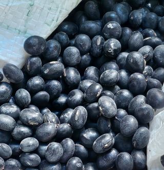 용골대장님의 기타작물 · 영농일지 작성글 사진