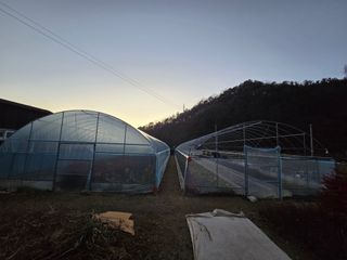 김진환님의 기타작물 · 영농일지 작성글 사진