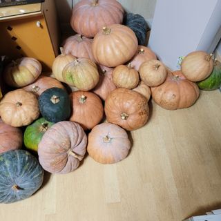 이창화님의 자유주제 · 자유게시판 작성글 사진