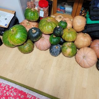 이창화님의 자유주제 · 자유게시판 작성글 사진