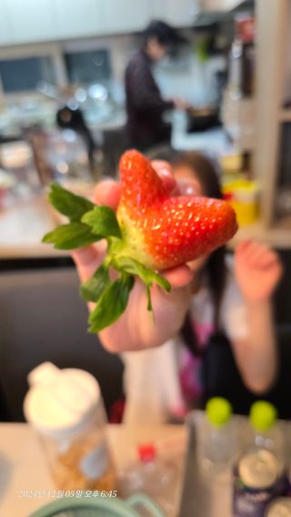 금실님의 12월 작물 자랑하기 · 참여글 작성글 사진