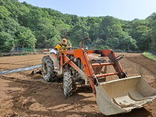 최선희님의 공짜로 가질 수 있다면 나의 선택은? · 참여글 작성글 사진