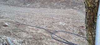 낙엽교목류16788님의 기타작물 · 영농일지 작성글 사진