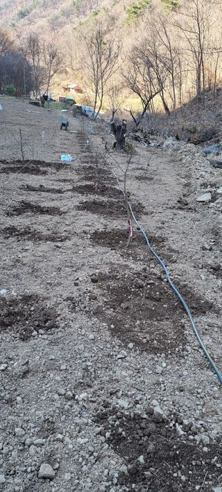 낙엽교목류16788님의 기타작물 · 영농일지 작성글 사진