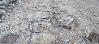 낙엽교목류16788님의 기타작물 · 영농일지 작성글 사진