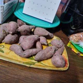 백현호님의 고구마 · 영농일지 작성글 사진