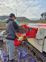 김숙향님의 공짜로 가질 수 있다면 나의 선택은?·참여글 작성글 사진