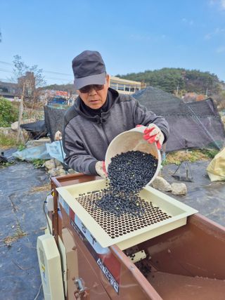 김숙향님의 공짜로 가질 수 있다면 나의 선택은? · 참여글 작성글 사진