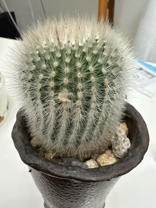 토마토마토님의 자유주제 · 자유게시판 작성글 사진