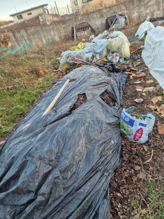 석장근님의 기타작물 · 영농일지 작성글 사진