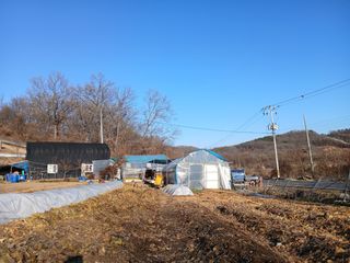 수랏간 농원 안승호님의 고추 · 영농일지 작성글 사진