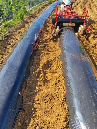 정상훈님의 자유주제 · 자유게시판 작성글 사진