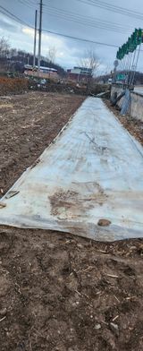 팜모닝 자유주제·자유게시판 게시글 이미지