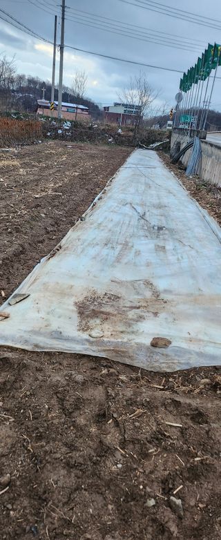 김영숙님의 자유주제 · 자유게시판 작성글 사진