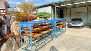 이순기님의 자유주제 · 건의해요 작성글 사진