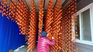 이순기님의 자유주제 · 건의해요 작성글 사진