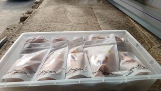 이순기님의 자유주제 · 건의해요 작성글 사진