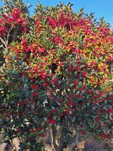 팜모닝 자유주제·자유게시판 게시글 이미지