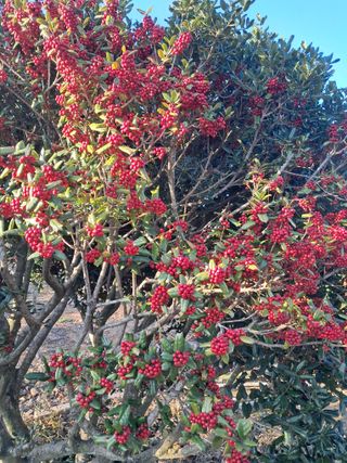 정상훈님의 자유주제 · 자유게시판 작성글 사진