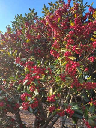 정상훈님의 자유주제 · 자유게시판 작성글 사진