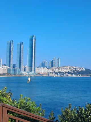 화순 농부여주작두콩님의 자유주제 · 건의해요 작성글 사진