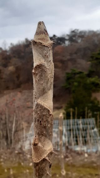 알 수 없음님의 자유주제 · 사진전 작성글 사진