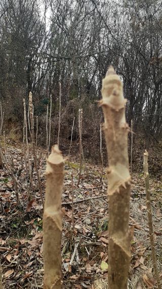 알 수 없음님의 자유주제 · 사진전 작성글 사진