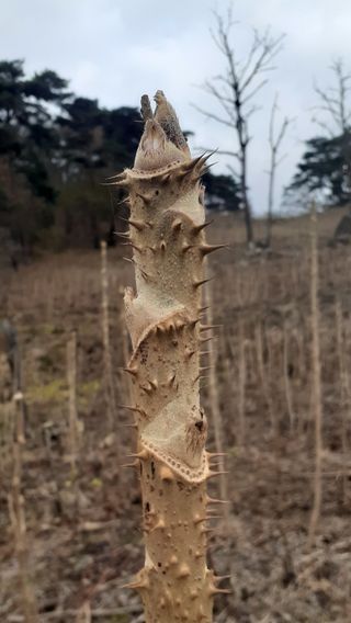 알 수 없음님의 자유주제 · 사진전 작성글 사진