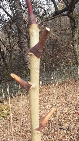 알 수 없음님의 자유주제 · 사진전 작성글 사진