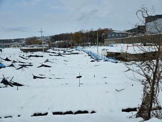 김현화님의 자유주제 · 자유게시판 작성글 사진