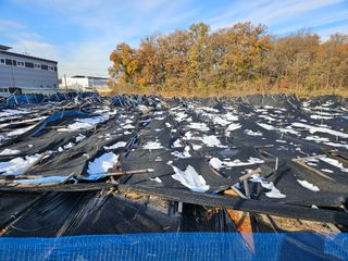 김현화님의 자유주제 · 자유게시판 작성글 사진