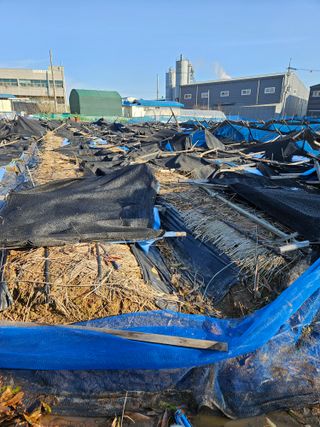 김현화님의 자유주제 · 자유게시판 작성글 사진