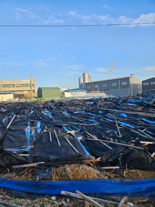 김현화님의 자유주제 · 자유게시판 작성글 사진