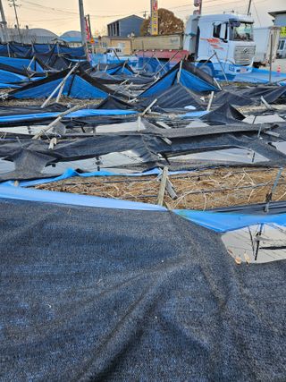 김현화님의 자유주제 · 자유게시판 작성글 사진