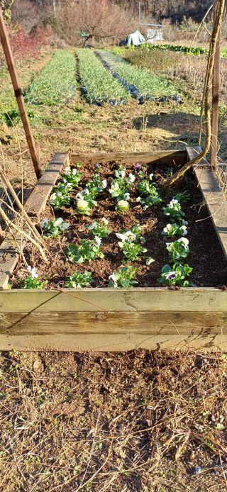 이강재님의 자유주제 · 자유게시판 작성글 사진