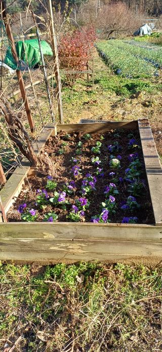 이강재님의 자유주제 · 자유게시판 작성글 사진