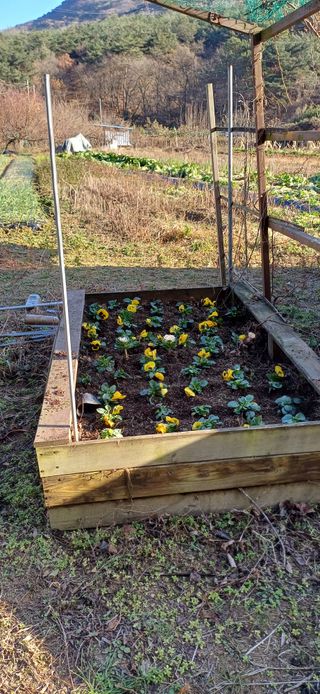 이강재님의 자유주제 · 자유게시판 작성글 사진