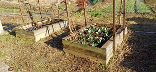 이강재님의 자유주제 · 자유게시판 작성글 사진