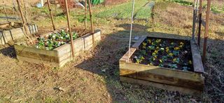 이강재님의 자유주제 · 자유게시판 작성글 사진