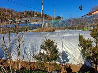 온시디움님의 12월 작물 자랑하기 · 참여글 작성글 사진